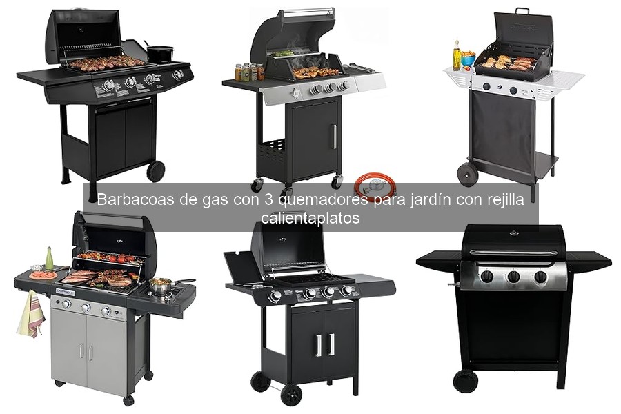Cómo elegir la mejor barbacoa de gas con 3 quemadores
