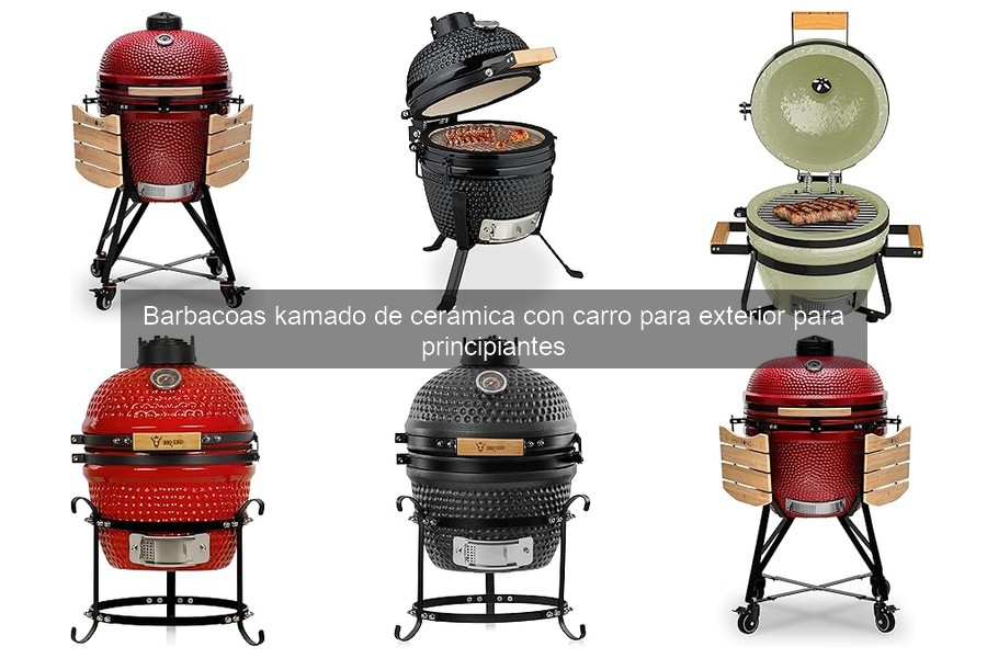 Comparativa de Barbacoas Kamado para Principiantes en 2026