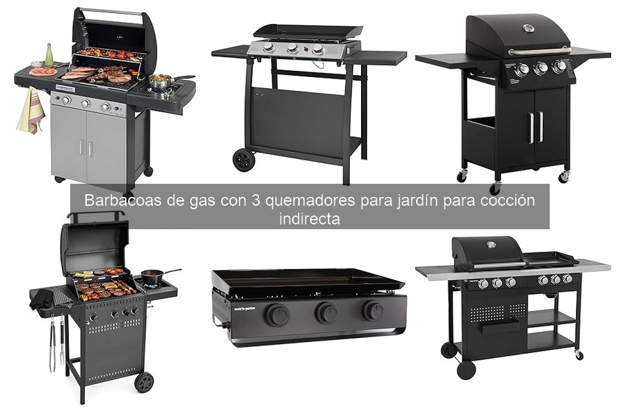 Descubre qué es una barbacoa de gas con 3 quemadores