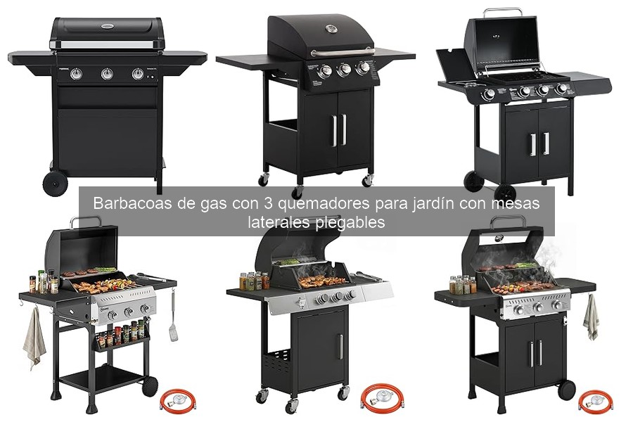 Diferencias entre Barbacoas de Gas y Carbón: ¡Descúbrelas!