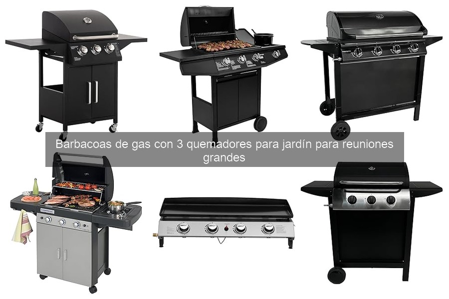 Errores comunes al usar barbacoas de gas de 3 quemadores