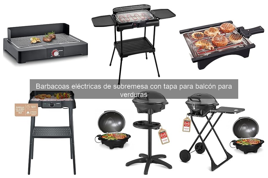 Guía de compra de barbacoas eléctricas de sobremesa para verduras