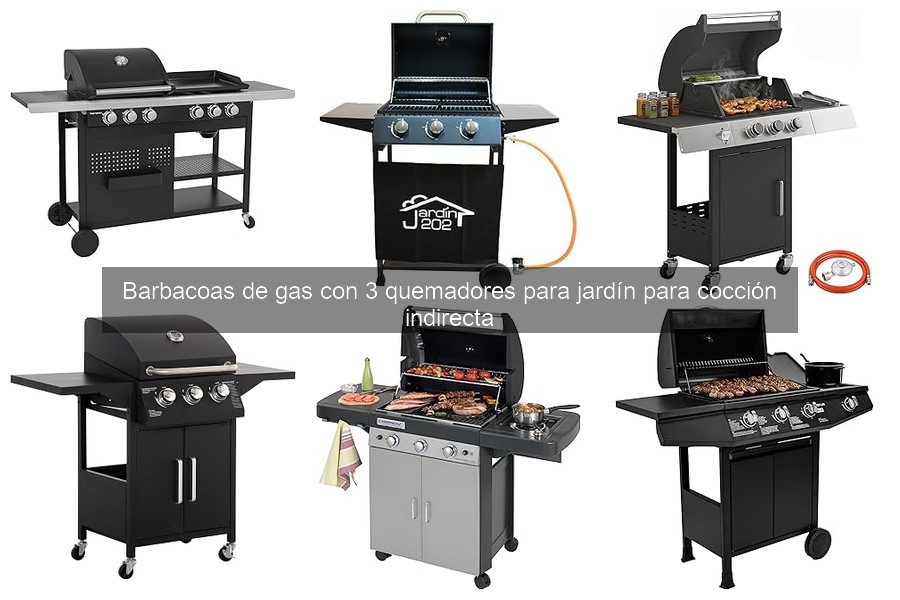Guía de instalación y mantenimiento de barbacoas de gas