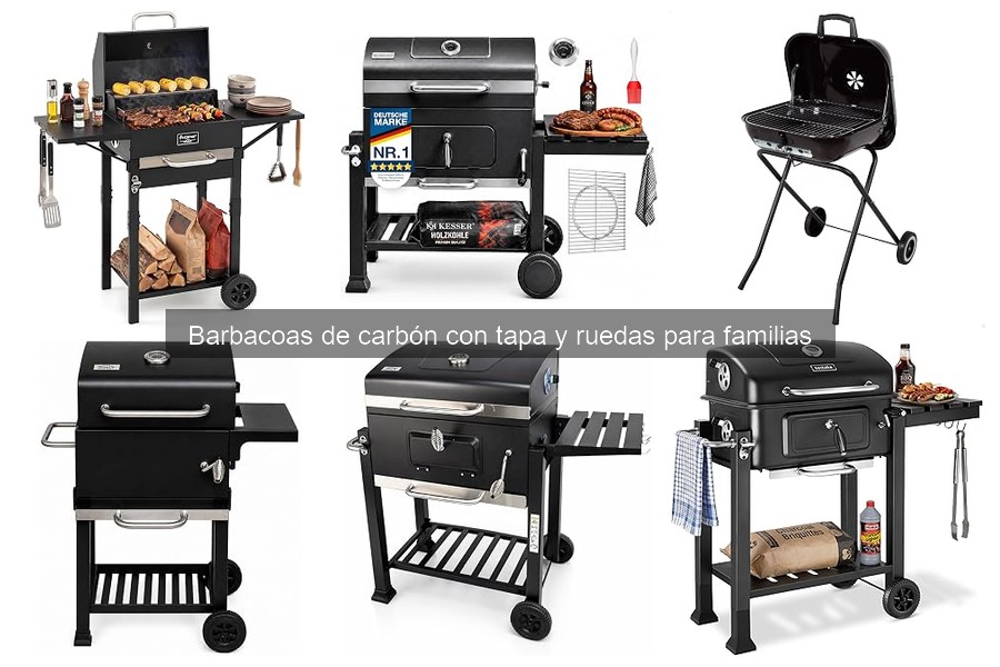 Guía de Instalación y Uso de Barbacoas de Carbón con Tapa
