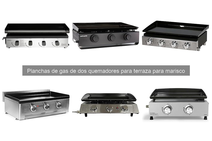 Guía de uso y mantenimiento de planchas de gas de dos quemadores