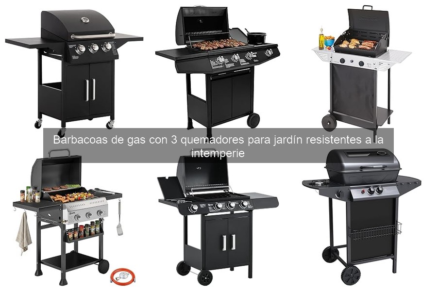Guía para Elegir Barbacoas de Gas con 3 Quemadores para Jardín