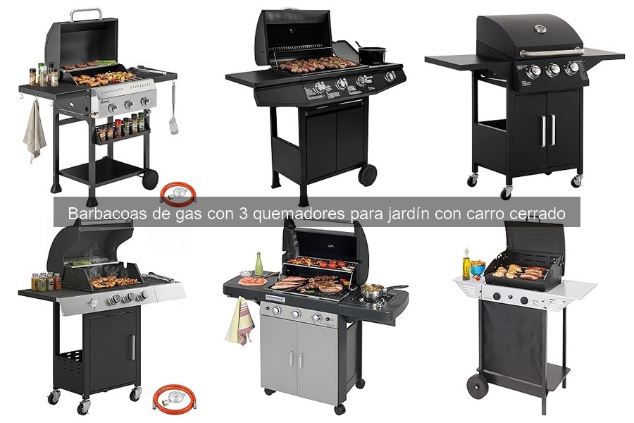 Guía para elegir la mejor barbacoa de gas con carro cerrado