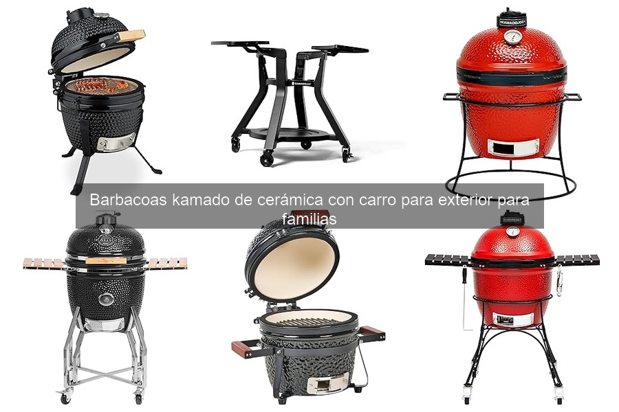 Guía para elegir la mejor barbacoa kamado de cerámica para familias