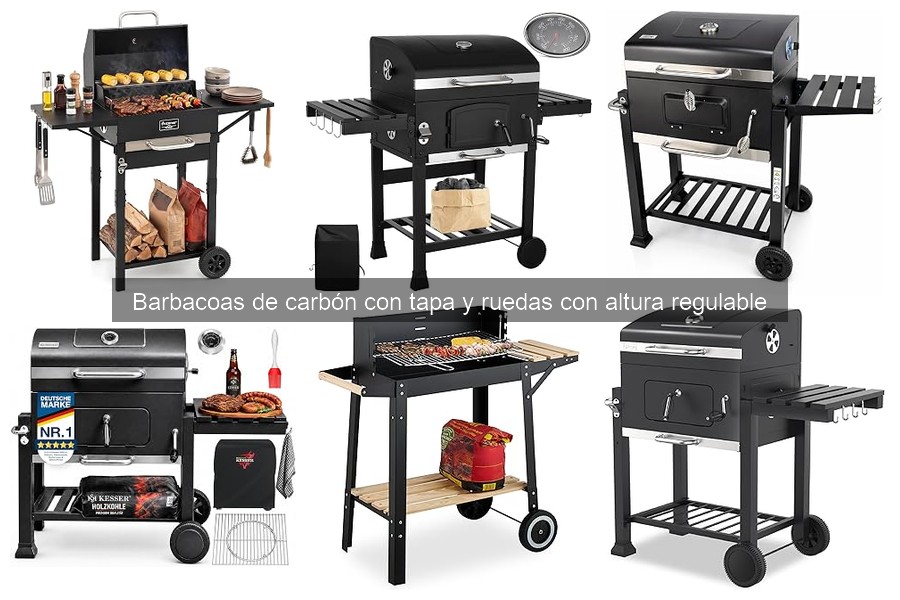 Mantenimiento de Barbacoas de Carbón con Tapa y Ruedas