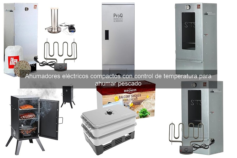 Mejores ahumadores eléctricos compactos para ahumar pescado en casa