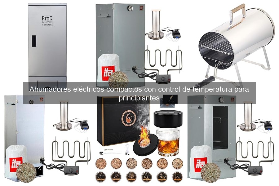 Mejores ahumadores eléctricos compactos para principiantes 2023
