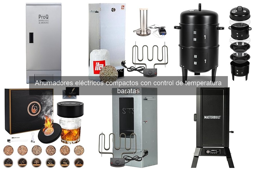 Mejores marcas de ahumadores eléctricos compactos baratos