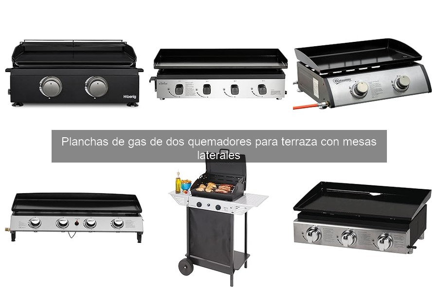 Mejores planchas de gas de dos quemadores para terraza 2023
