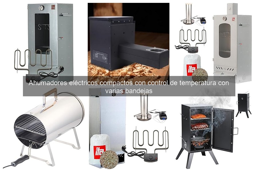 Problemas comunes con ahumadores eléctricos y soluciones