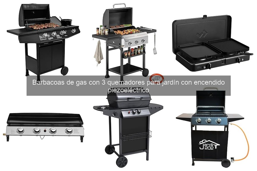 Problemas comunes con barbacoas de gas y sus soluciones