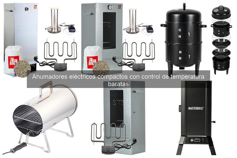 Problemas comunes en ahumadores eléctricos compactos y soluciones