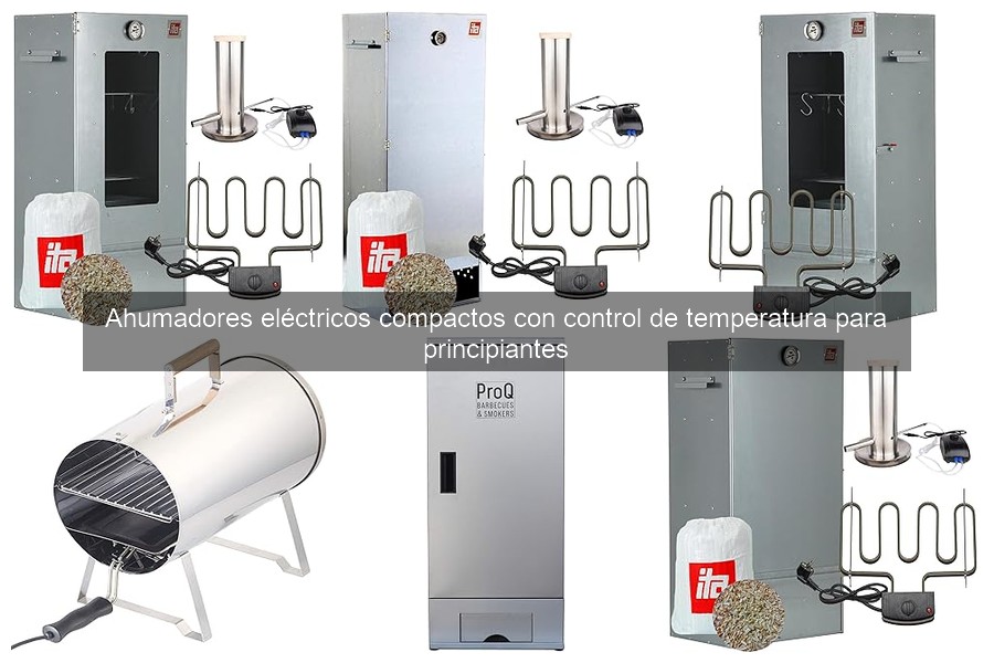 Problemas Comunes en Ahumadores Eléctricos y Soluciones