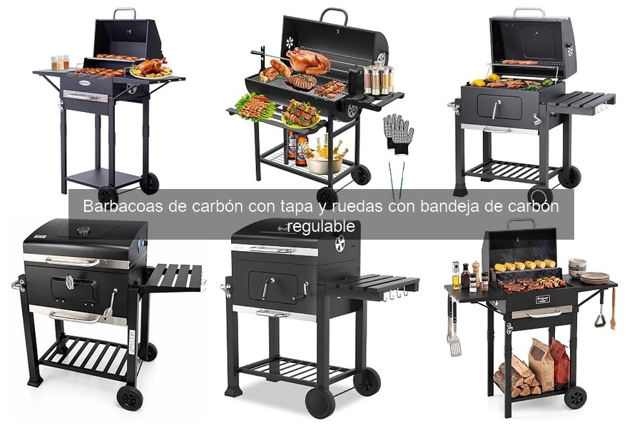 Problemas Comunes en Barbacoas de Carbón y Soluciones