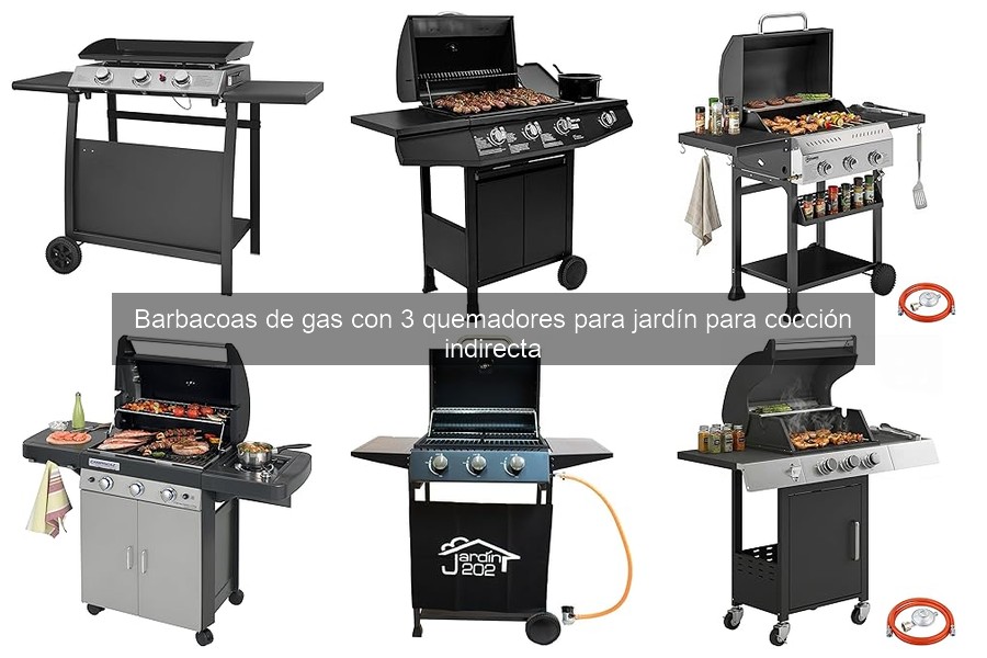Problemas Comunes en Barbacoas de Gas con 3 Quemadores y Soluciones