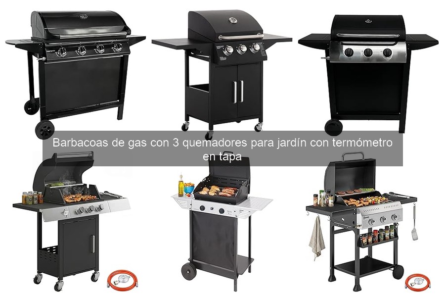 Problemas comunes en barbacoas de gas de 3 quemadores y soluciones