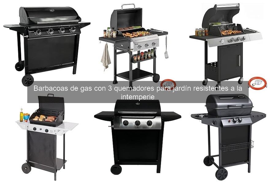 Problemas comunes en barbacoas de gas y soluciones