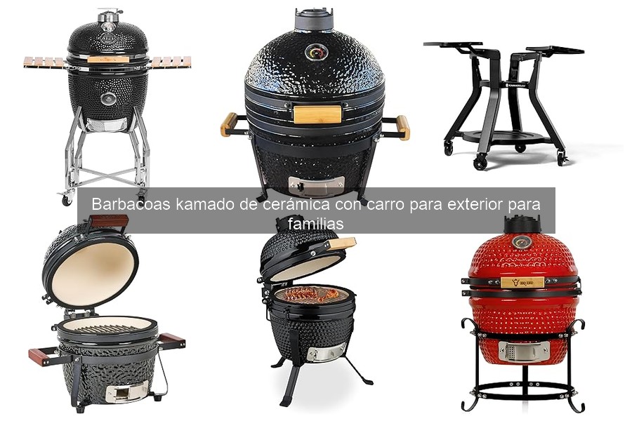 Problemas comunes en barbacoas kamado y sus soluciones