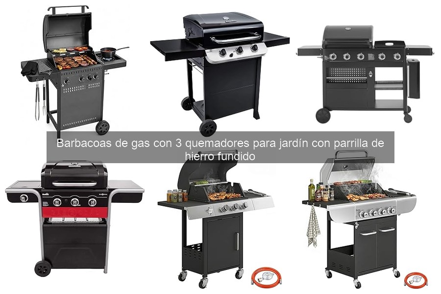 Problemas y soluciones comunes en barbacoas de gas de 3 quemadores