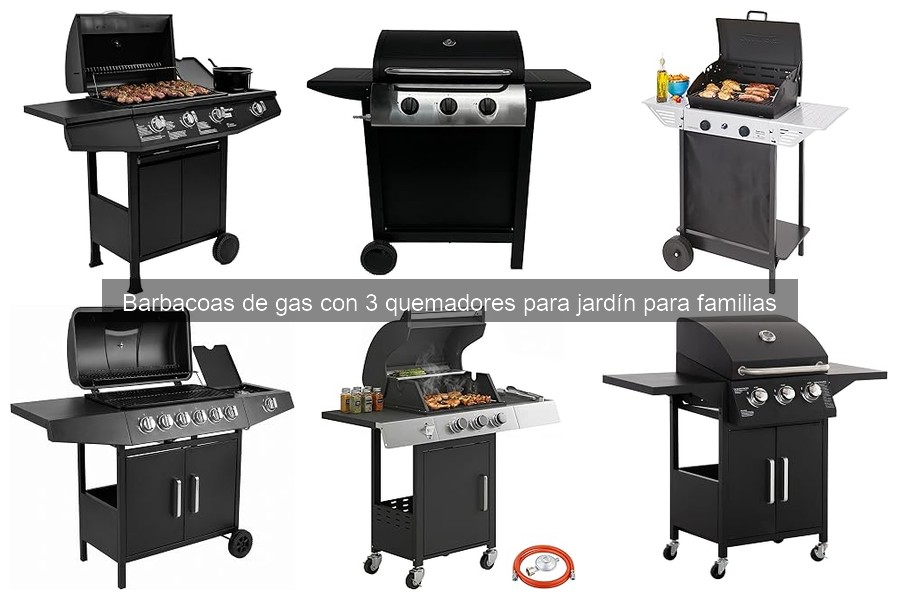 Problemas y soluciones para barbacoas de gas de 3 quemadores