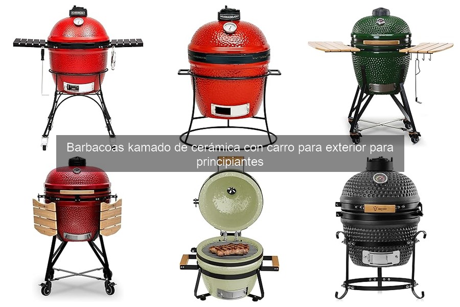 Qué es una barbacoa kamado de cerámica: Guía para principiantes