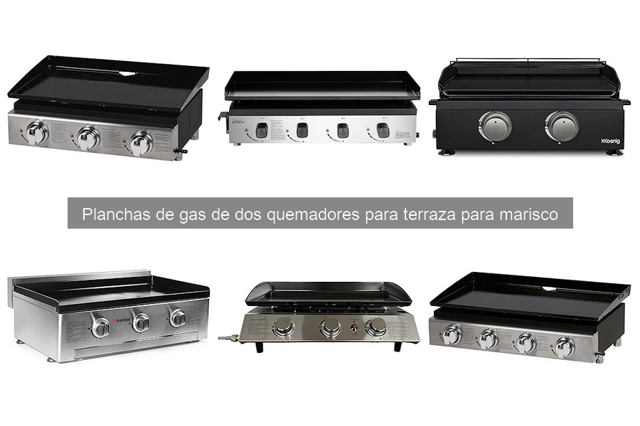 ¿Qué es una plancha de gas de dos quemadores y cómo funciona?