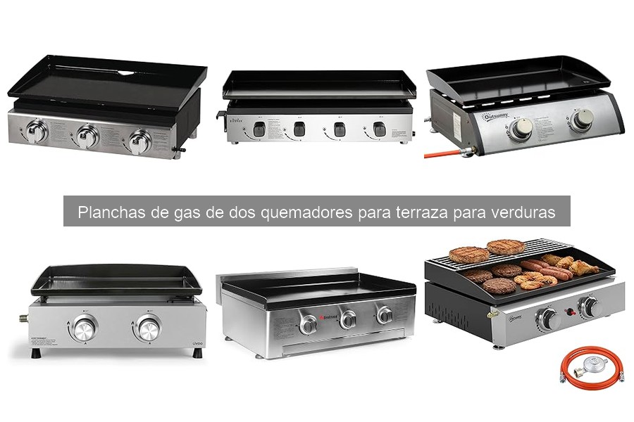 ¿Qué son las planchas de gas de dos quemadores?