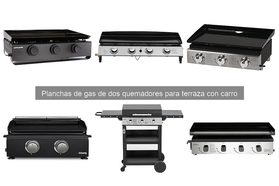 Ventajas de la plancha de gas de dos quemadores para terraza