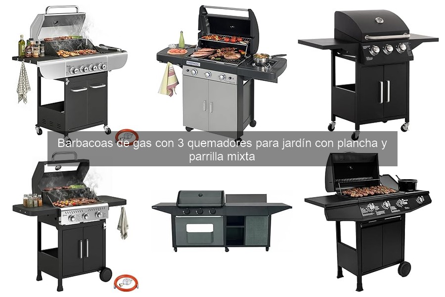 Ventajas de las Barbacoas de Gas con 3 Quemadores para Jardín