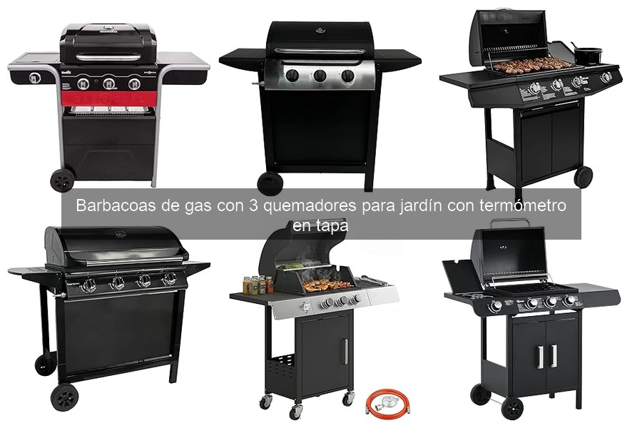 Ventajas de las Barbacoas de Gas con 3 Quemadores y Termómetro
